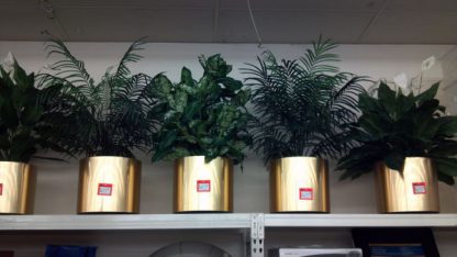 Faux Plants with Brass Planters - Used