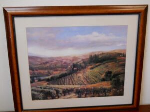 Art Print 13 - Vineard - Used