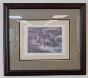 Art Print 30 - The Otter Hound - Used