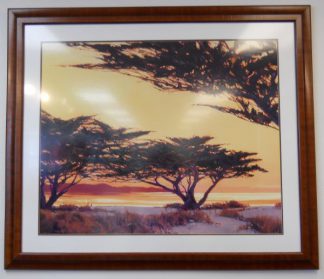 Art Print 47 - African Trees - Used