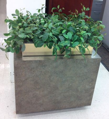 Planter with Plant - Used