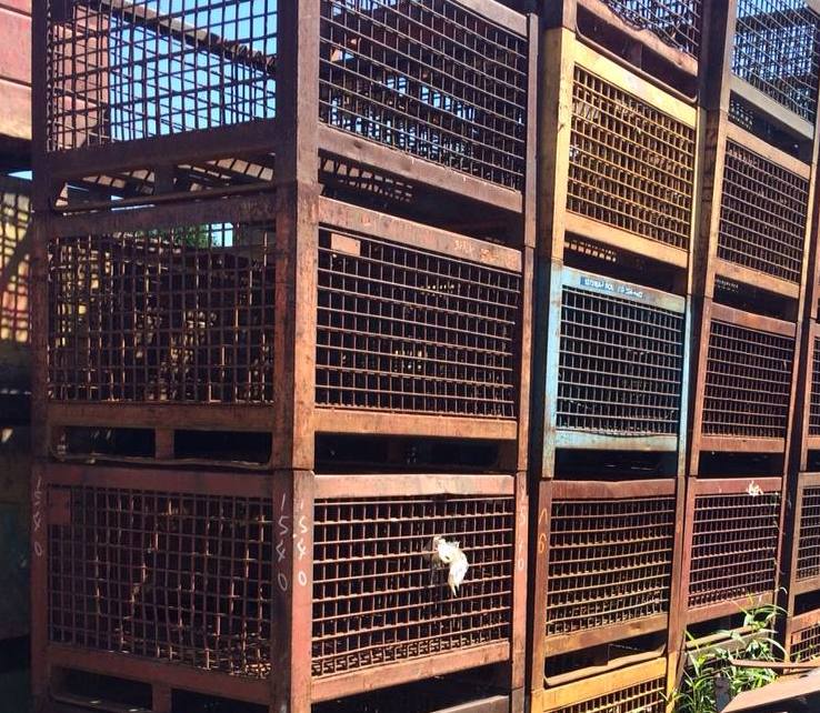 Welter Storage