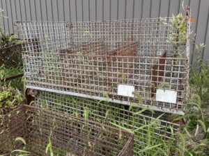 41”x72”x36” (31” inside) Tall Wire Baskets - Used